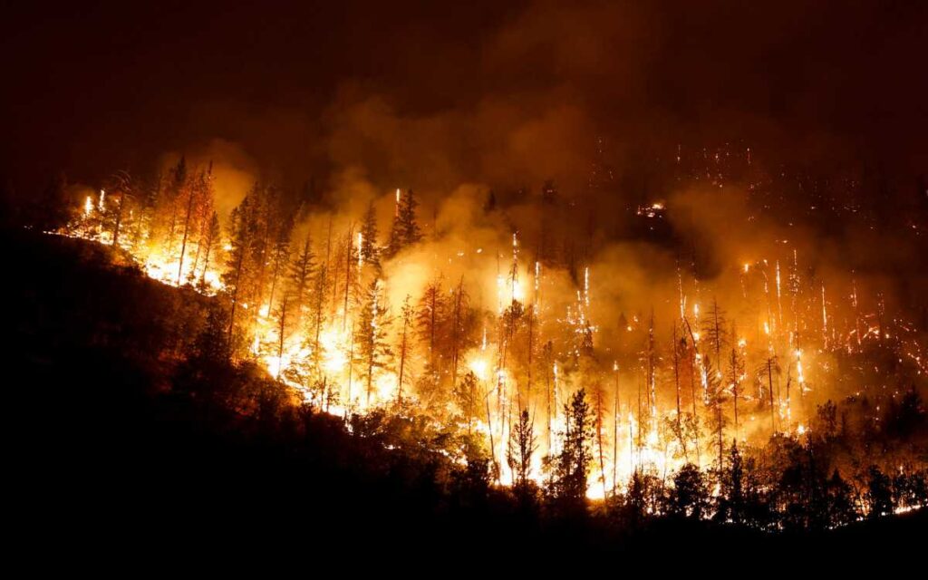 Incendio de rápido avance destruye viviendas e infraestructura en California