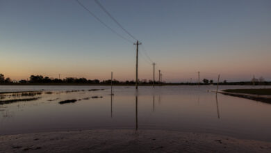 Inundar, evacuar, enjuagar, repetir: un patrón implacable golpea a Australia