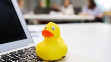 La curiosa razón por la que los programadores usan un patito de juguete para ayudarlos a hacer su trabajo: cómo podés aprovecharla