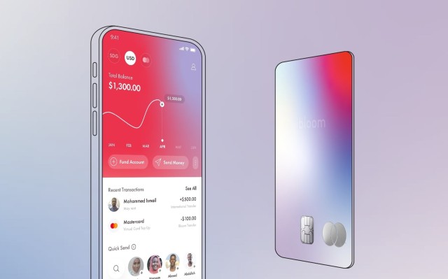 La fintech sudanesa Bloom obtiene USD 6,5 millones, respaldada por Y Combinator, GFC y Visa