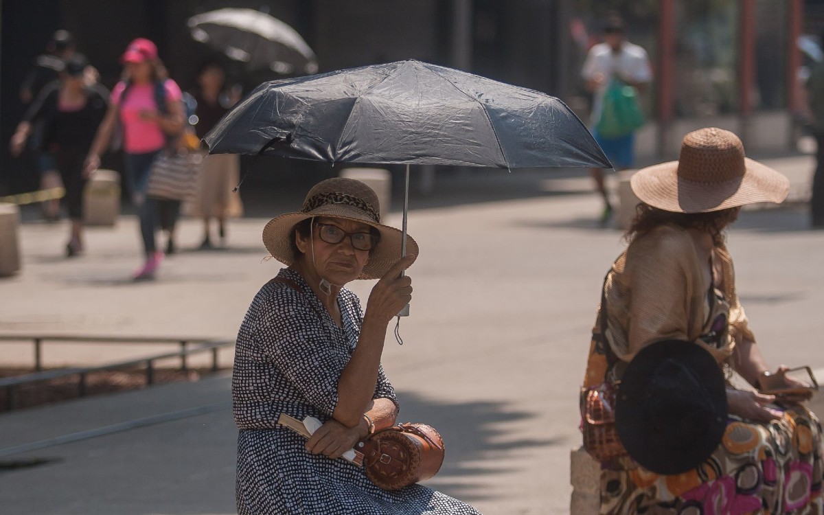 'La isla de calor', el fenómeno climático que ha aumentado la temperatura de la CDMX