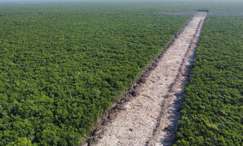 La polémica por los impactos del Tren Maya llega hasta la comisión ambiental del T-MEC