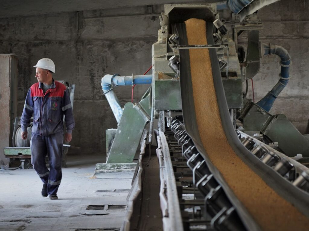 Las dificultades para cumplir el acuerdo que libera el grano de Ucrania: navegar esquivando minas y la desconfianza hacia Rusia