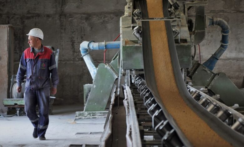 Las dificultades para cumplir el acuerdo que libera el grano de Ucrania: navegar esquivando minas y la desconfianza hacia Rusia