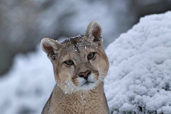 Las mejores series documentales que se estrenan en el mes de julio