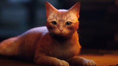 Los adorables mods callejeros hacen que el gato jugable se vea como las propias mascotas de los modders