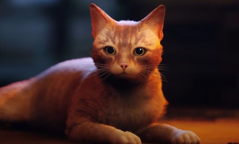 Los adorables mods callejeros hacen que el gato jugable se vea como las propias mascotas de los modders