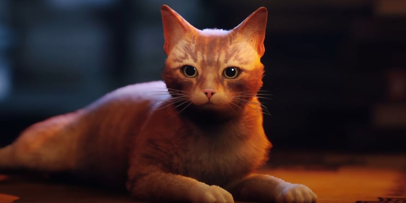 Los adorables mods callejeros hacen que el gato jugable se vea como las propias mascotas de los modders