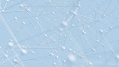 Los inversores se centran en DeFi, ya que sigue siendo resistente a la volatilidad del criptomercado