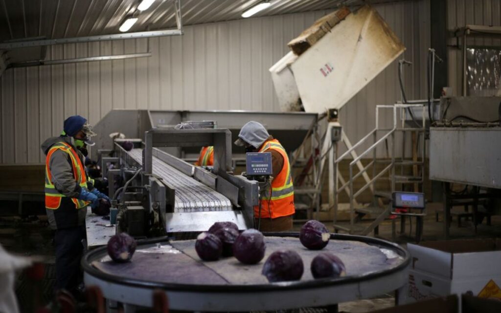 Migrantes mexicanos en EU, una fuerza económica explotada que trabaja en sectores desfavorecidos