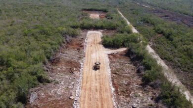 Ni amparos ni vacaciones frenan el Tren Maya: SEDATU suspende periodos vacacionales administrativos de la obra