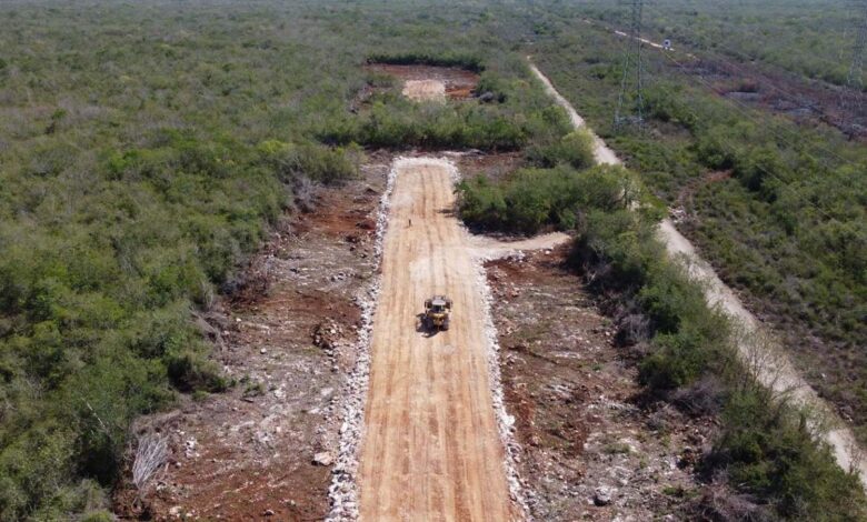 Ni amparos ni vacaciones frenan el Tren Maya: SEDATU suspende periodos vacacionales administrativos de la obra