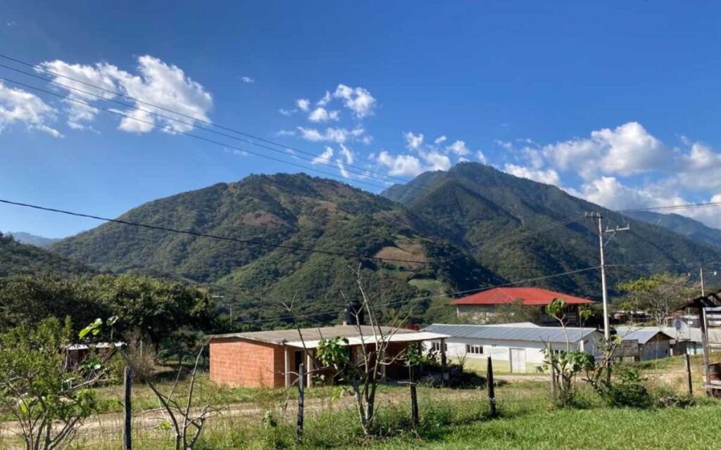 Piden que los Chimalapas sean reconocidos como Reserva Ecológica Campesina