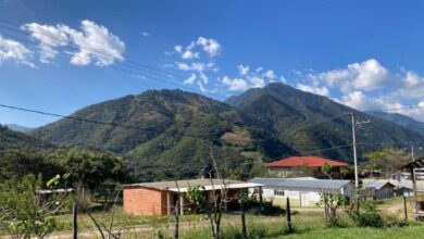 Piden que los Chimalapas sean reconocidos como Reserva Ecológica Campesina