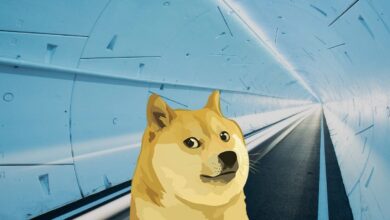 Podrás gastar tu Dogecoin montando el Vegas Loop de Elon Musk