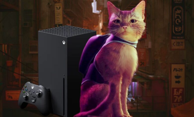 Por qué Stray no está en Xbox o Game Pass