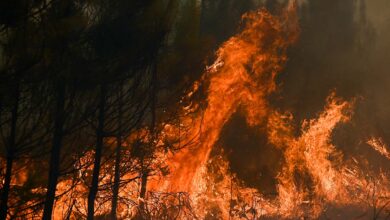 Pronostican 'peligro muy extremo' de incendios en zonas de Inglaterra donde normalmente no hay