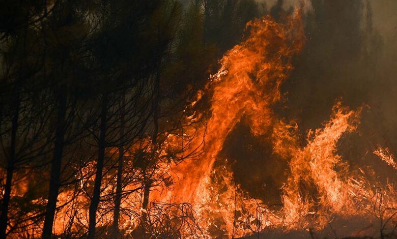 Pronostican 'peligro muy extremo' de incendios en zonas de Inglaterra donde normalmente no hay