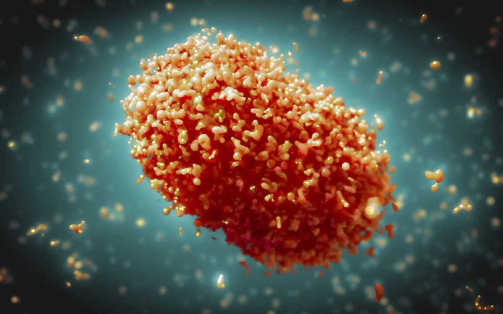 Puebla confirma primeros dos casos de viruela del mono