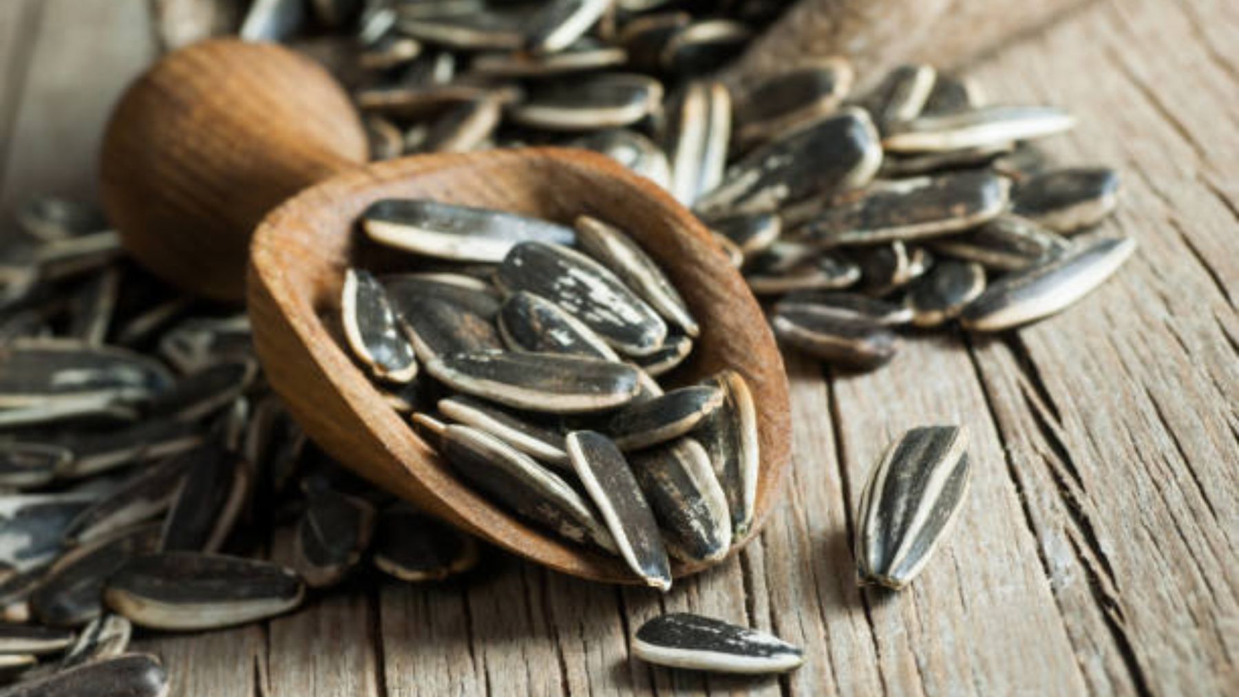 Qué es realmente el aguasal de las pipas