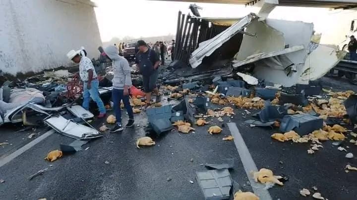 Rapiña: Vuelca tráiler cargado con pollo, muere chofer, lugareños se sirven con “cuchara grande”