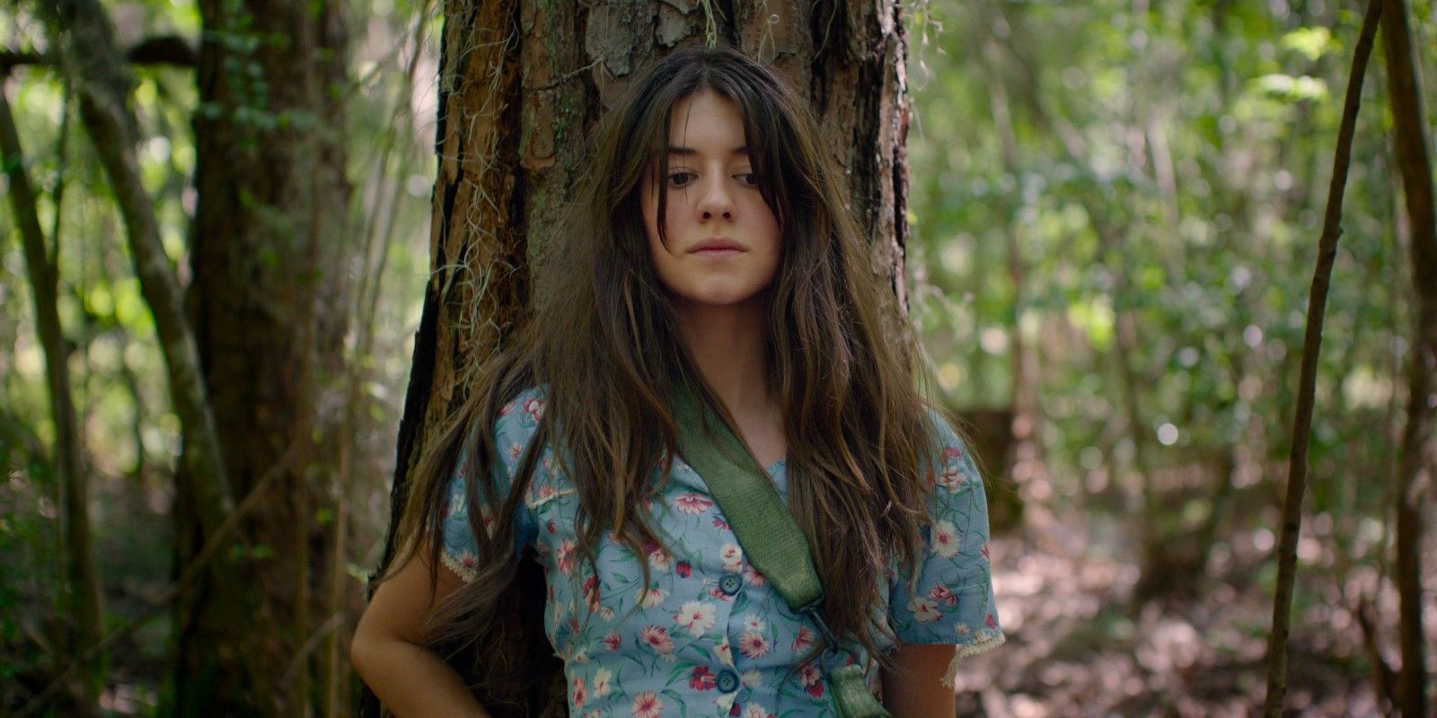 Reseña de Where The Crawdads Sing: Magníficas imágenes chocan con problemas de narración