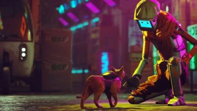 Resumen de Stray Review: una recepción muy cálida