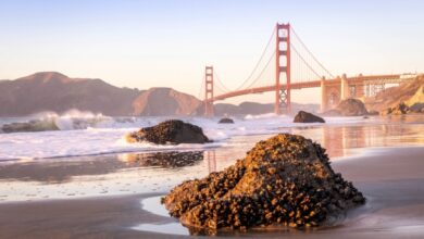 Resumen de TechCrunch+: valoraciones sobreinfladas, crowdfunding de acciones, SCOTUS v. tecnología climática