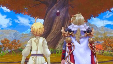 Rune Factory 5: Cómo tener hijos