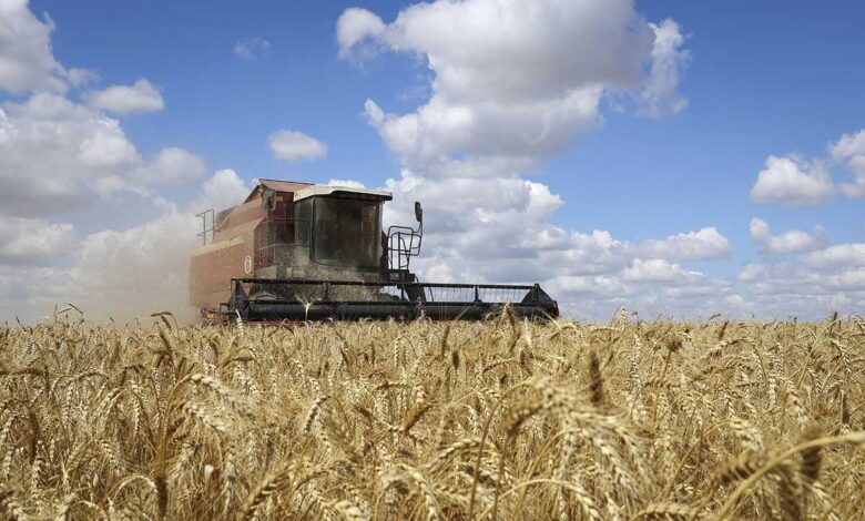 Rusia pide a la ONU que facilite el levantamiento parcial de sanciones con miras a la exportación de grano