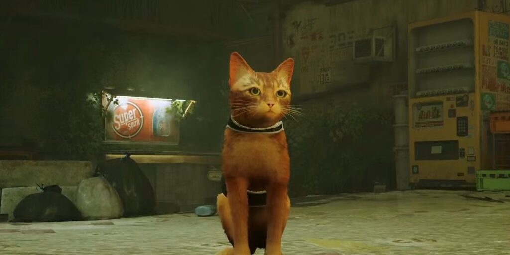 Secuela de Stray: ¿Habrá un Stray 2?