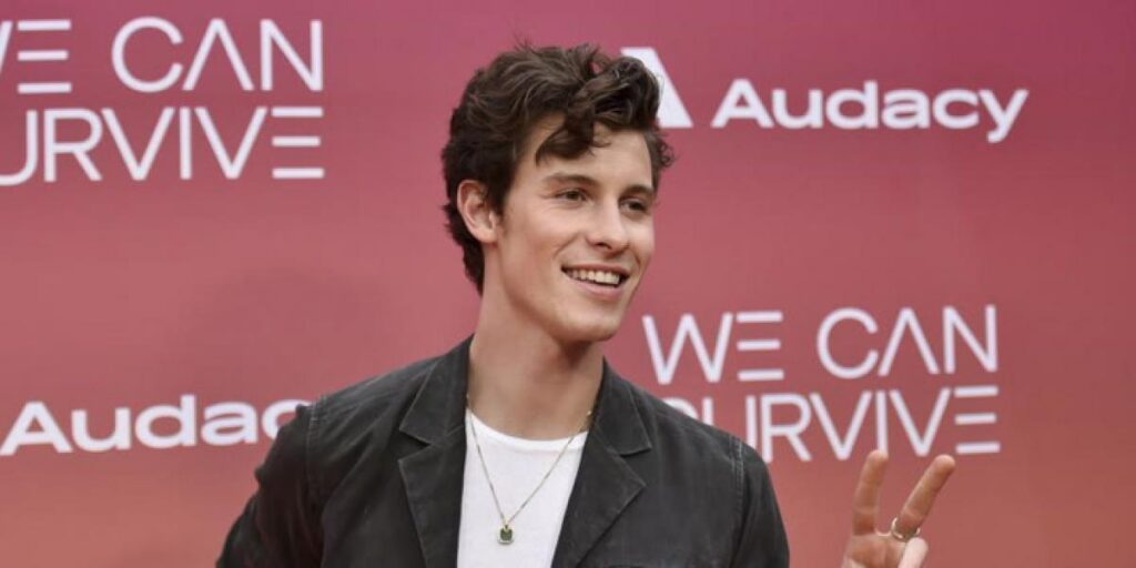 Shawn Mendes pospone su gira mundial por su salud mental