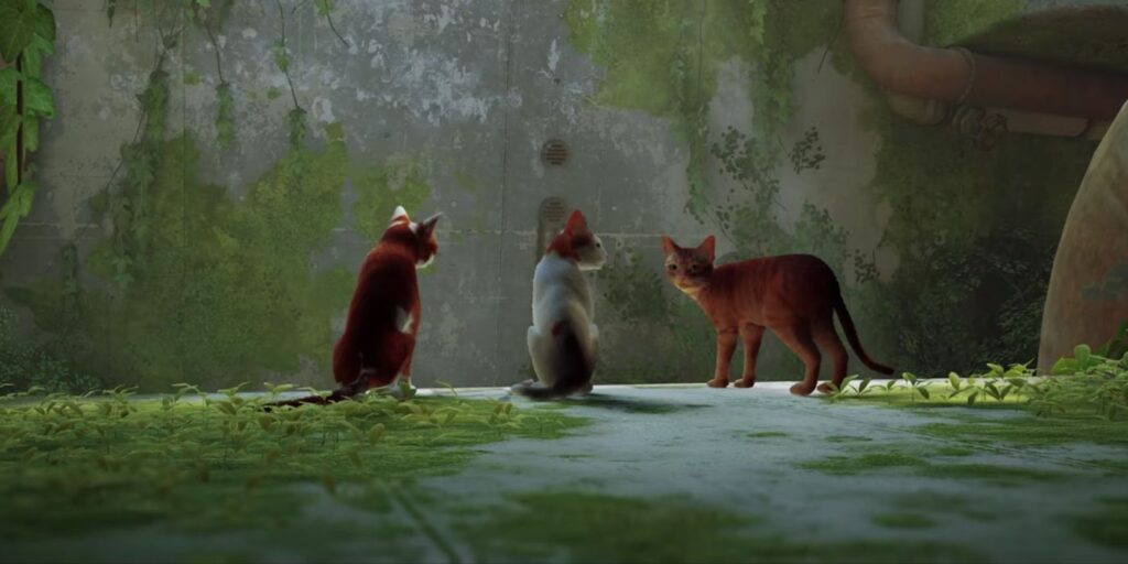 Stray Multiplayer Mod te permite unirte a Cat Friends en pantalla dividida