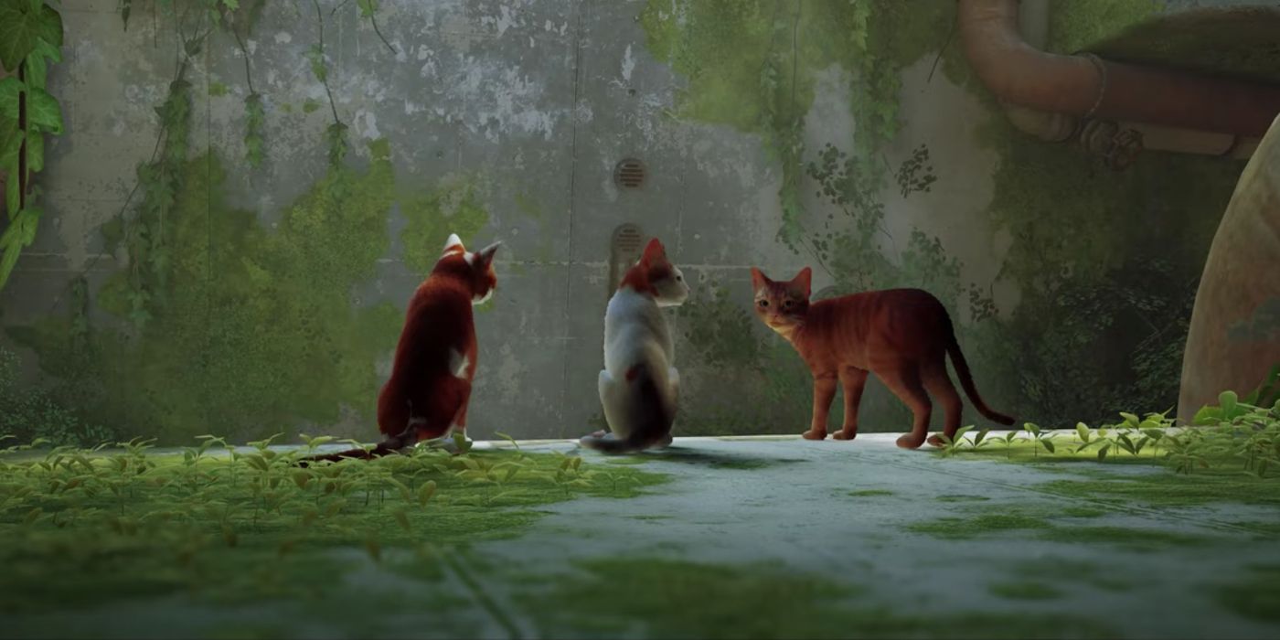 Stray Multiplayer Mod te permite unirte a Cat Friends en pantalla dividida