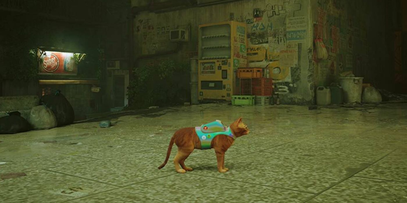 Stray: cada ubicación de la insignia (y lo que hacen)