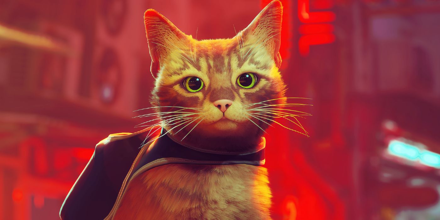 Stray de PlayStation obtiene una línea de mochilas y productos para gatos de viaje