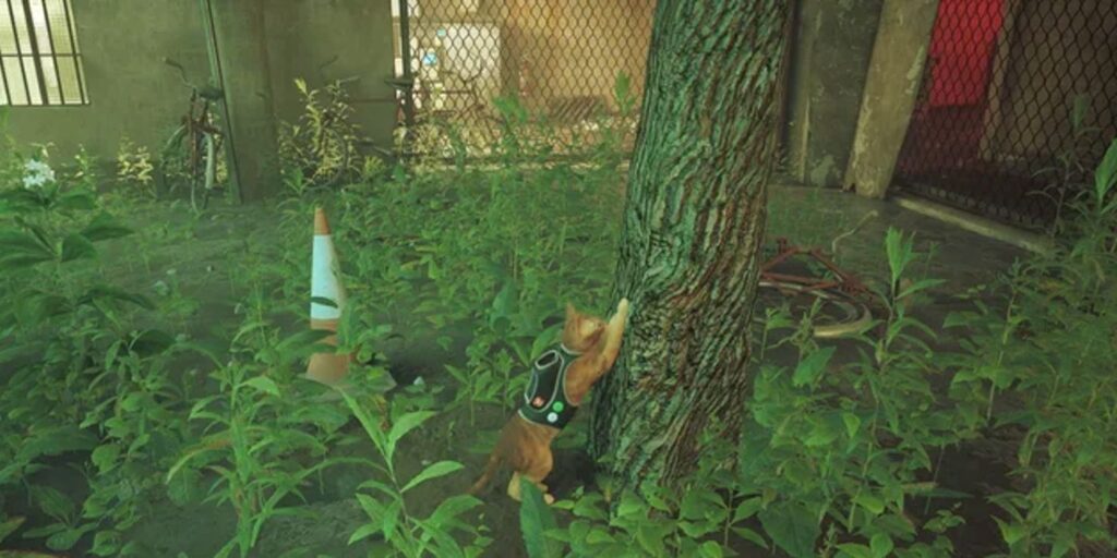 Stray: dónde rascar en cada capítulo (trofeo territorial)