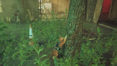 Stray: dónde rascar en cada capítulo (trofeo territorial)