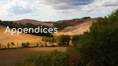 Su plataforma de lanzamiento de recaudación de fondos necesita apéndices. Este es el por qué