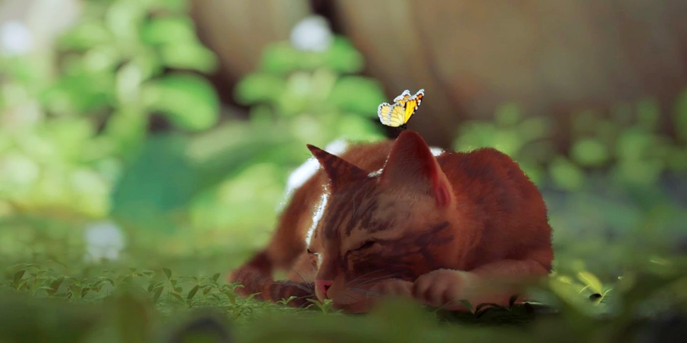 Todo lo lindo que puedes hacer con un gato en Stray