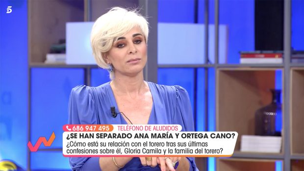 Ana María Aldón en 'Viva la vida' / Telecinco