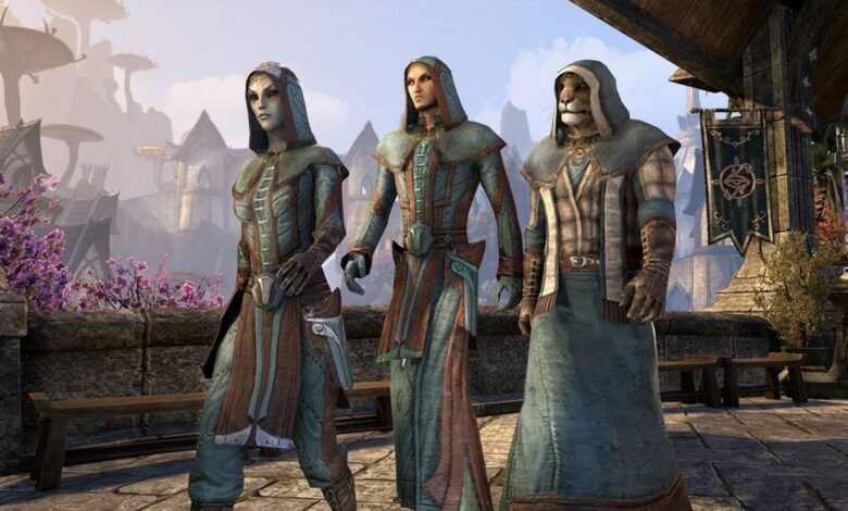 Todos los gremios de Elder Scrolls que faltan en Skyrim