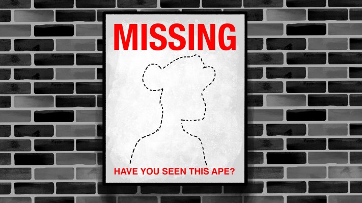 Todos mis simios se han ido: disputas legales en la intersección de IP y NFT