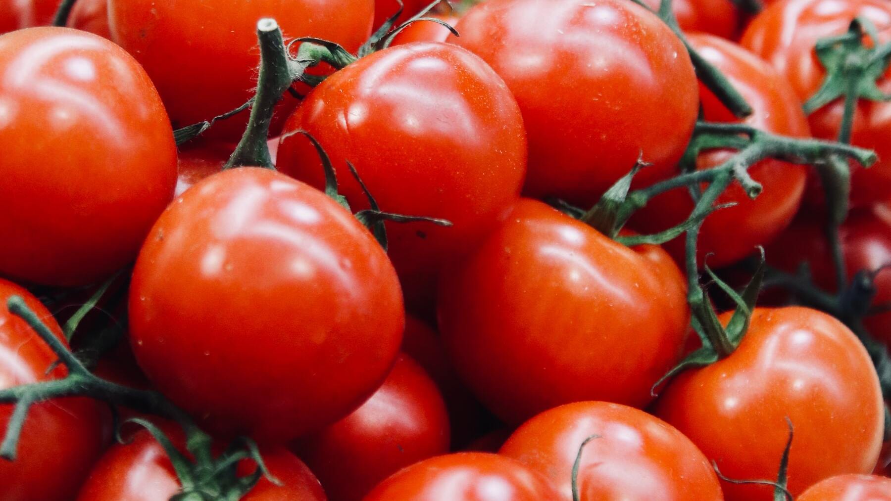 Tomate triturado o tomate tamizado: ¿Cuál es mejor?
