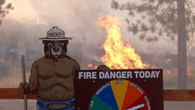 Un voraz incendio amenaza las milenarias secuoyas del Parque Nacional de Yosemite en California