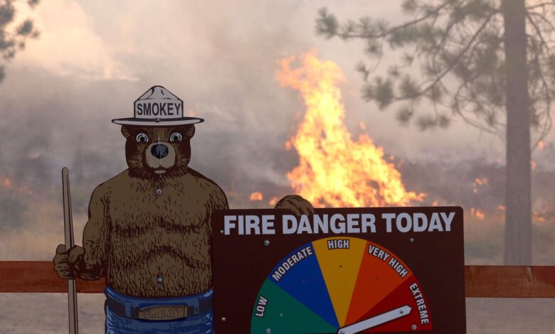 Un voraz incendio amenaza las milenarias secuoyas del Parque Nacional de Yosemite en California