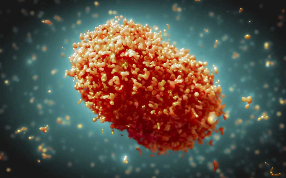 Viruela del mono | Consultor de la OMS explica qué significa la declaratoria de emergencia de salud global