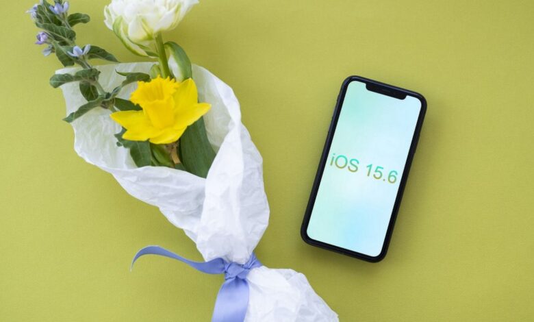 iOS 15.6 ahora disponible: nuevas funciones y correcciones de errores para su iPhone