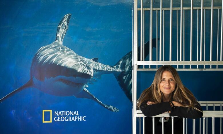 "Convivo con tiburones de mil maneras y nunca he tenido ningún problema"