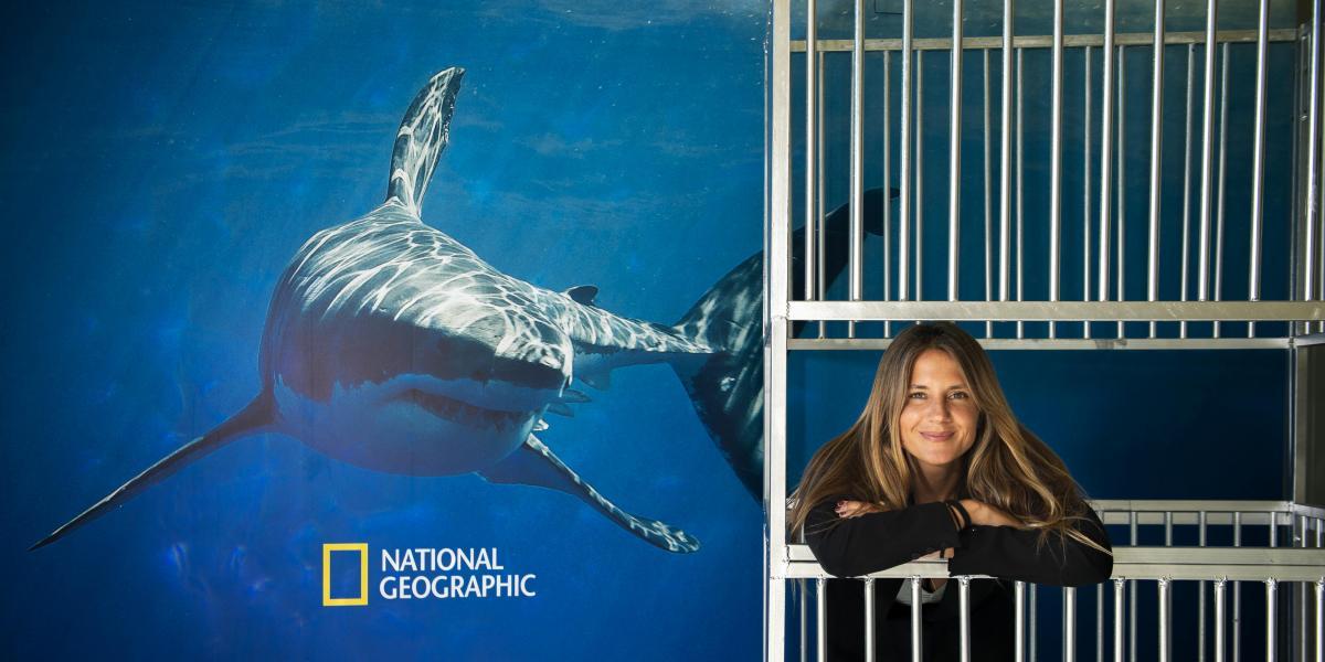 "Convivo con tiburones de mil maneras y nunca he tenido ningún problema"